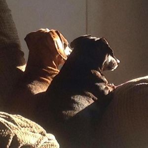 Meet your Posher, Scott